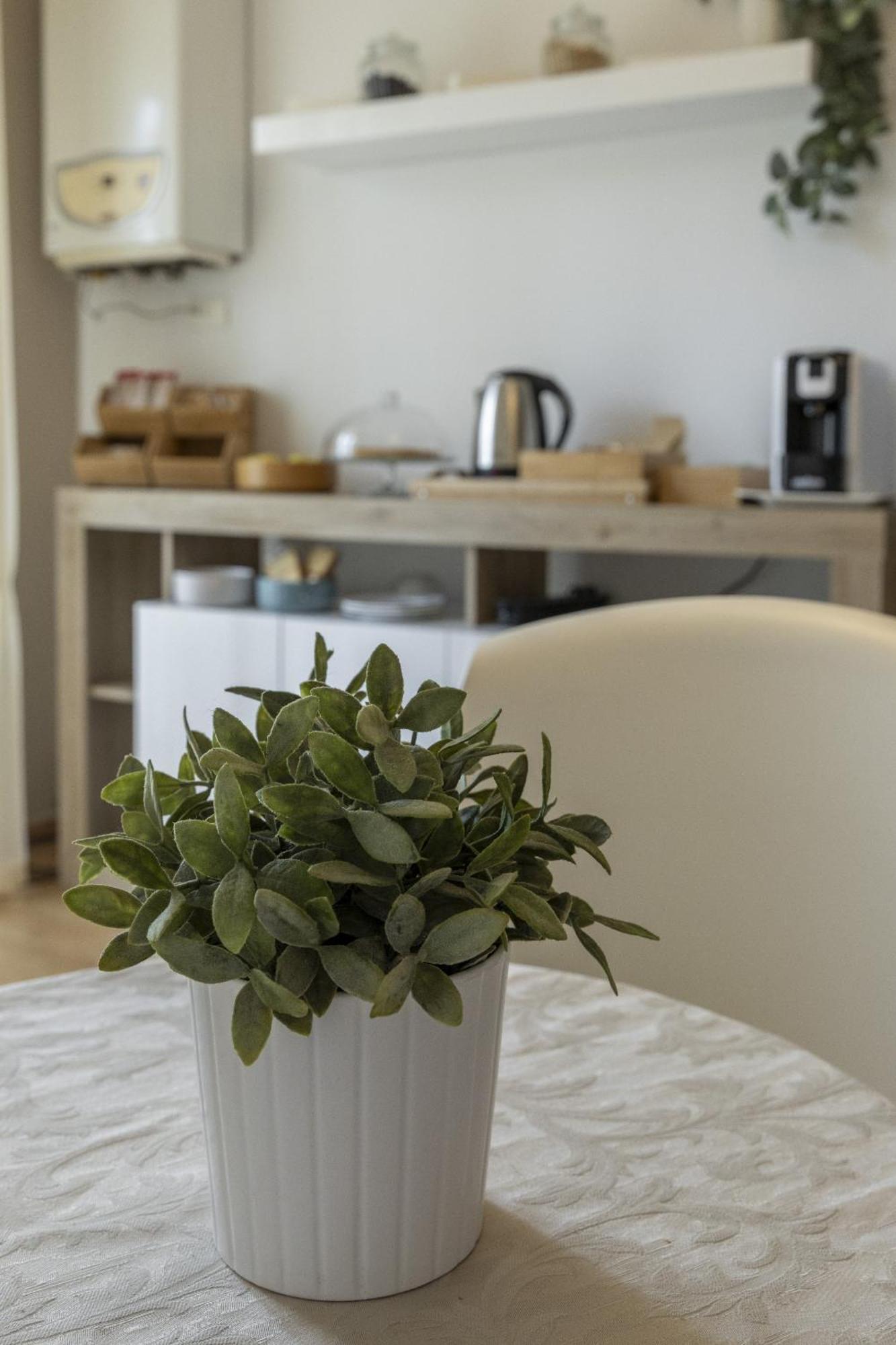 B&B Maricla Verona Exteriör bild